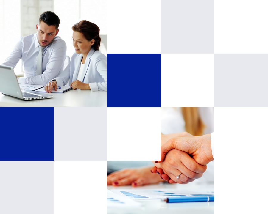 Pro License Solutions Thailand